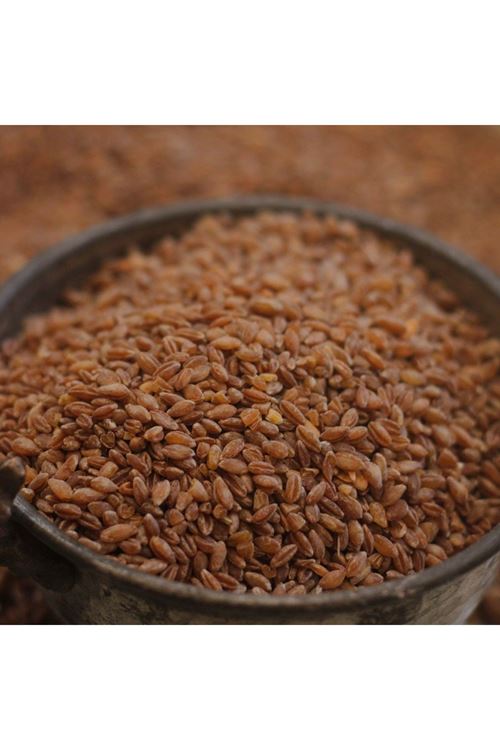 Kastamonu siyez bulguru