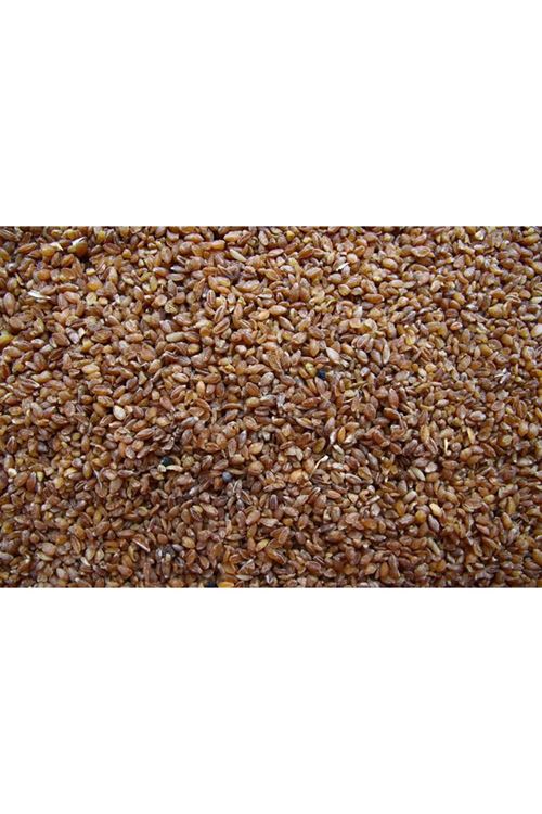 Kastamonu siyez bulguru